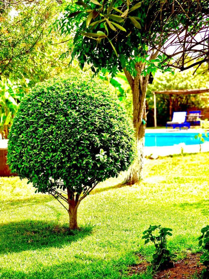 Bed and Breakfast Le Domaine De Carole Marrakech Douar Akkara Zewnętrze zdjęcie