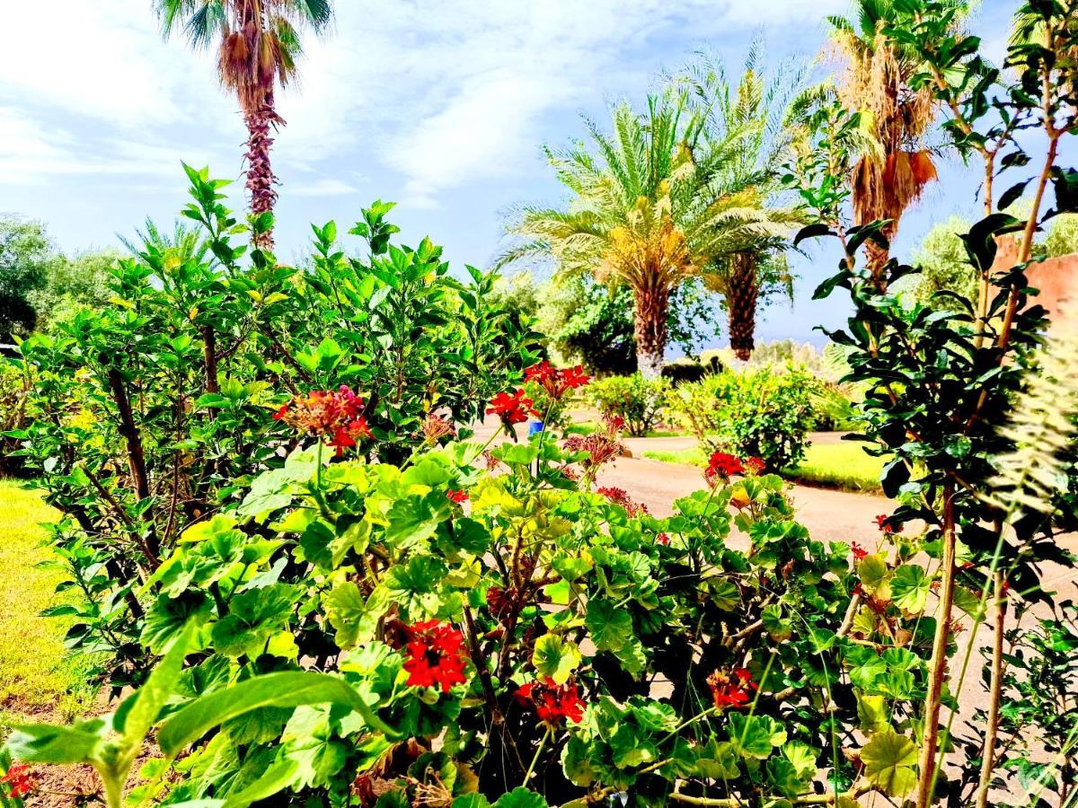 Bed and Breakfast Le Domaine De Carole Marrakech Douar Akkara Zewnętrze zdjęcie