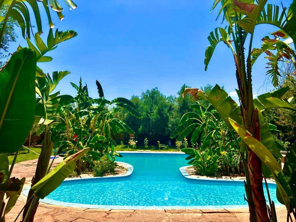 Bed and Breakfast Le Domaine De Carole Marrakech Douar Akkara Zewnętrze zdjęcie