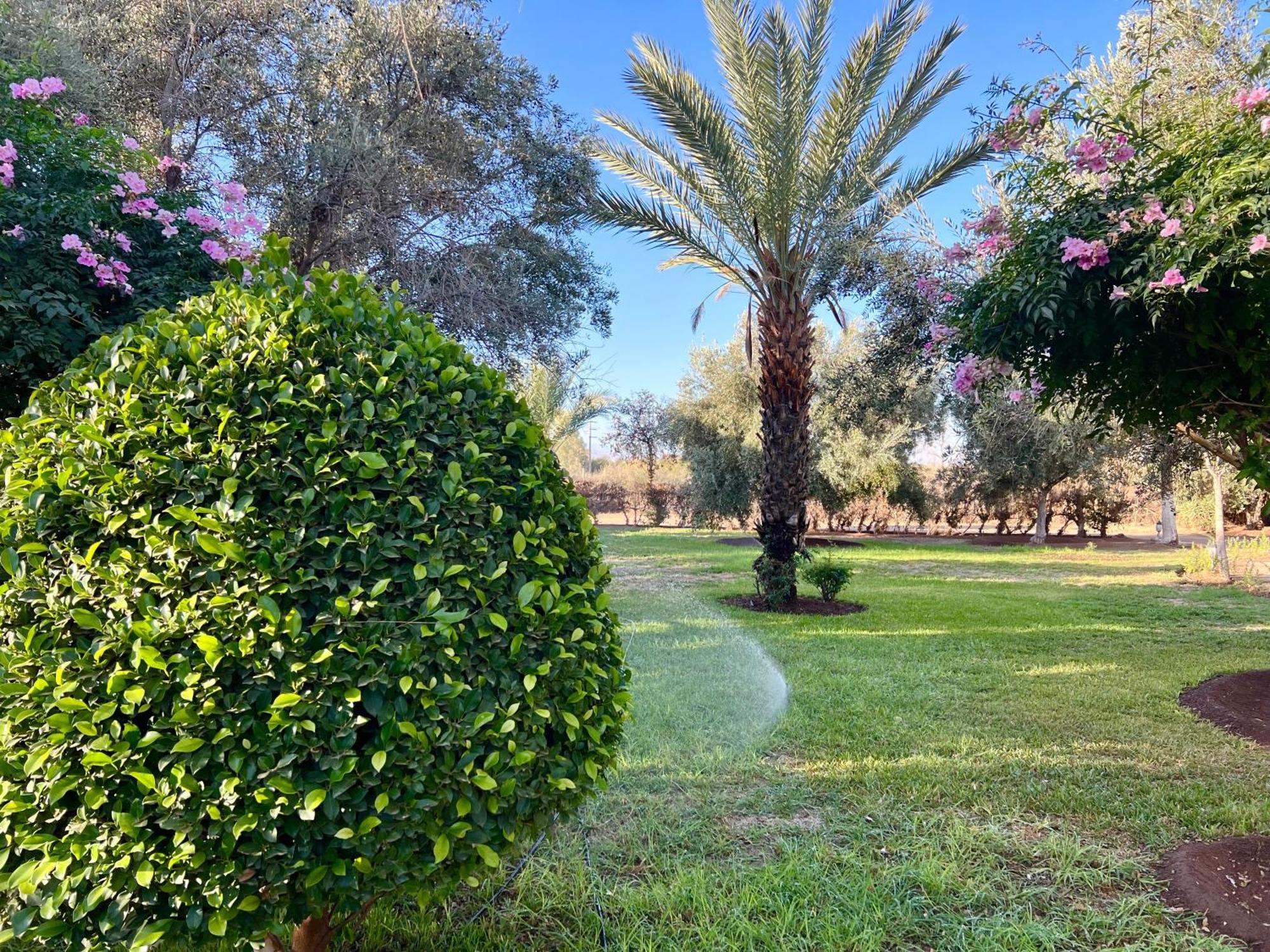 Bed and Breakfast Le Domaine De Carole Marrakech Douar Akkara Zewnętrze zdjęcie