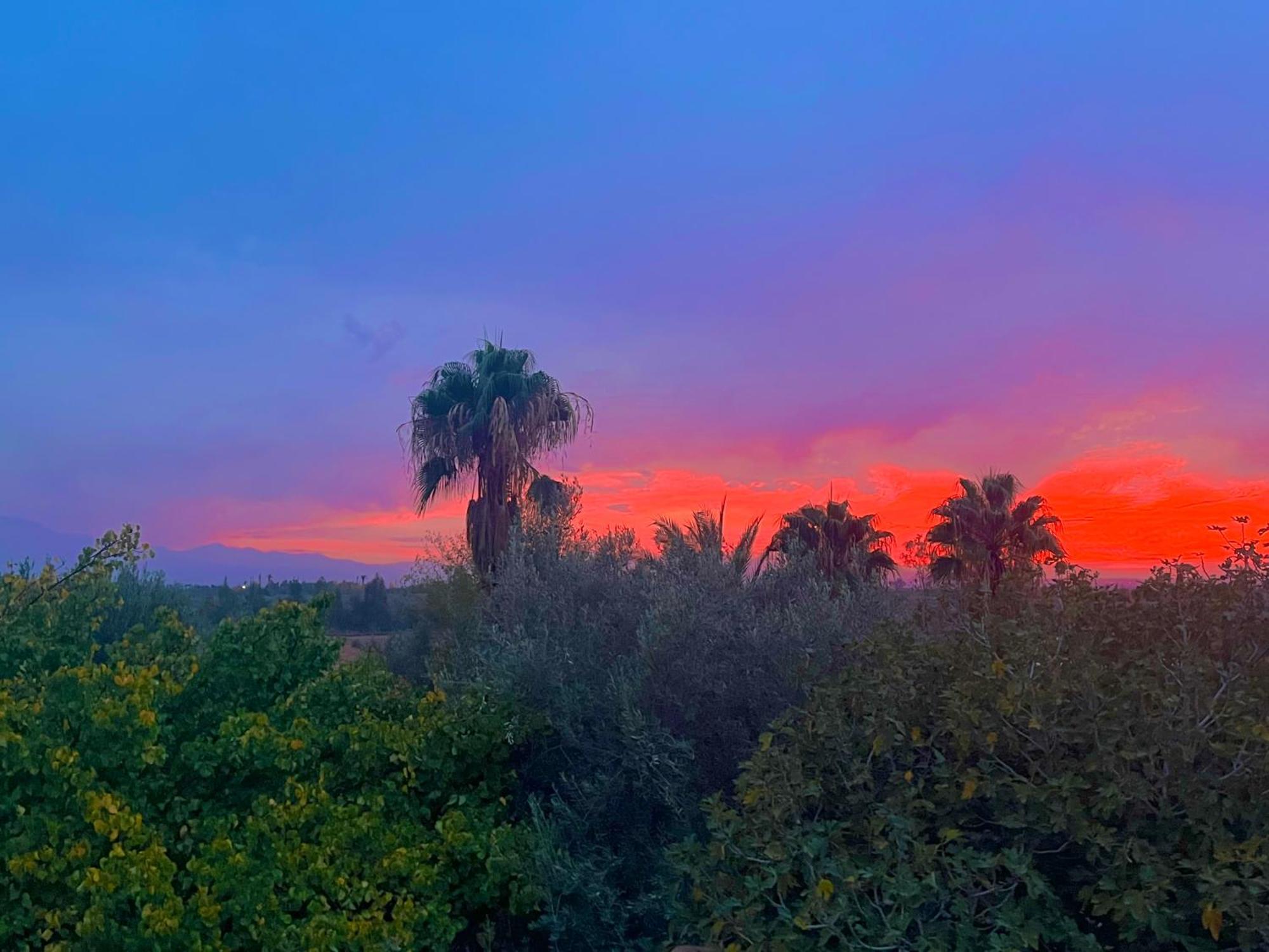 Bed and Breakfast Le Domaine De Carole Marrakech Douar Akkara Zewnętrze zdjęcie