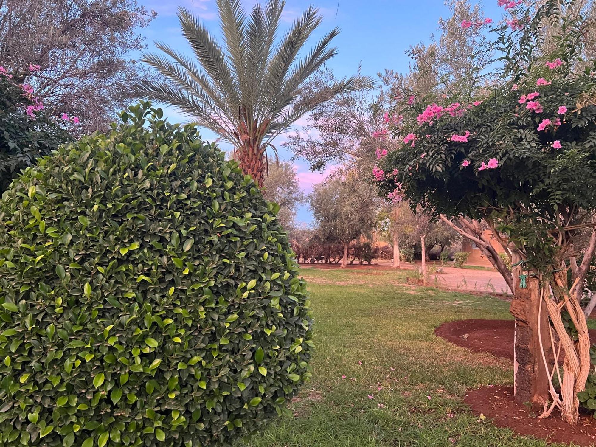 Bed and Breakfast Le Domaine De Carole Marrakech Douar Akkara Zewnętrze zdjęcie