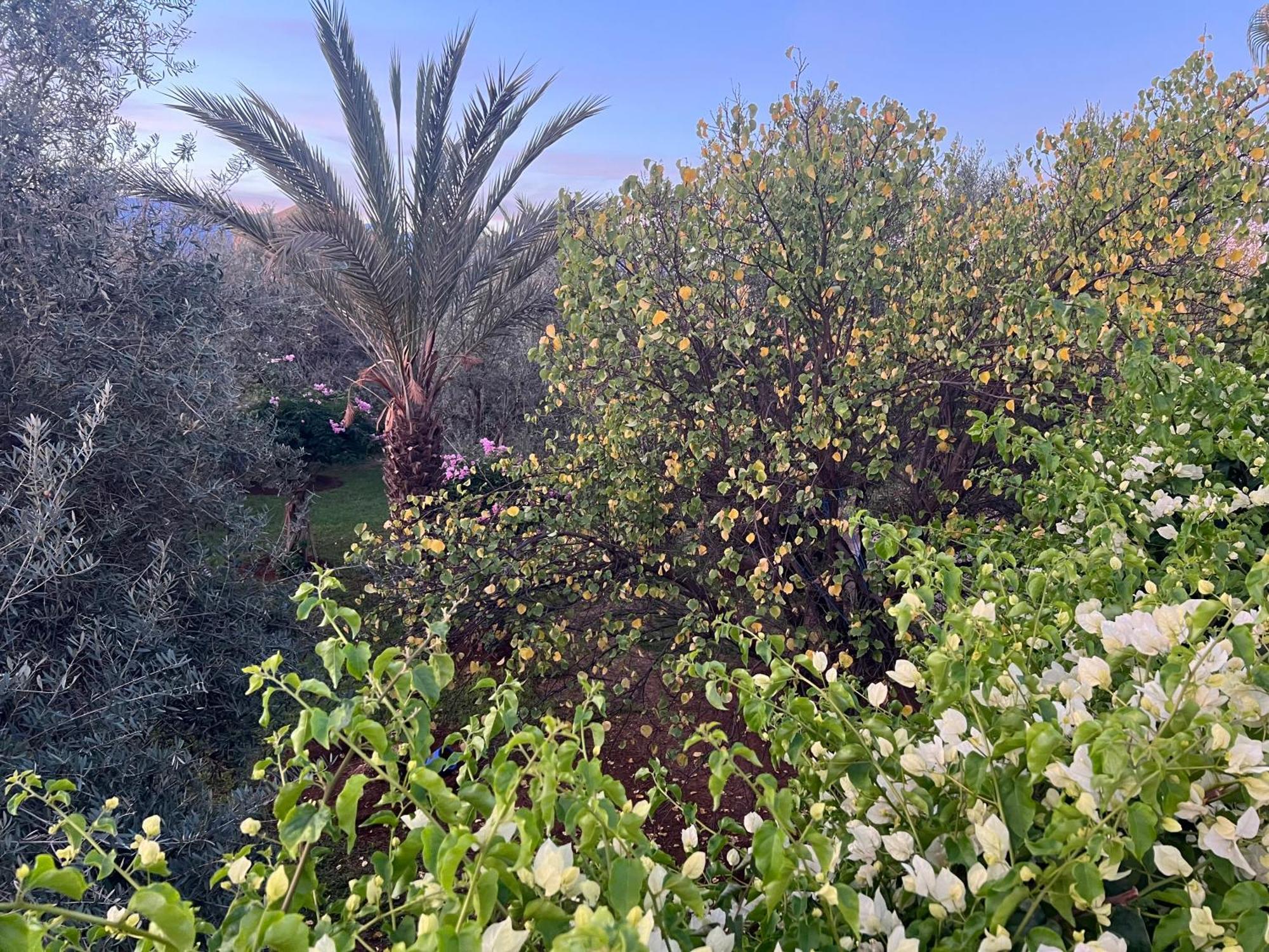 Bed and Breakfast Le Domaine De Carole Marrakech Douar Akkara Zewnętrze zdjęcie
