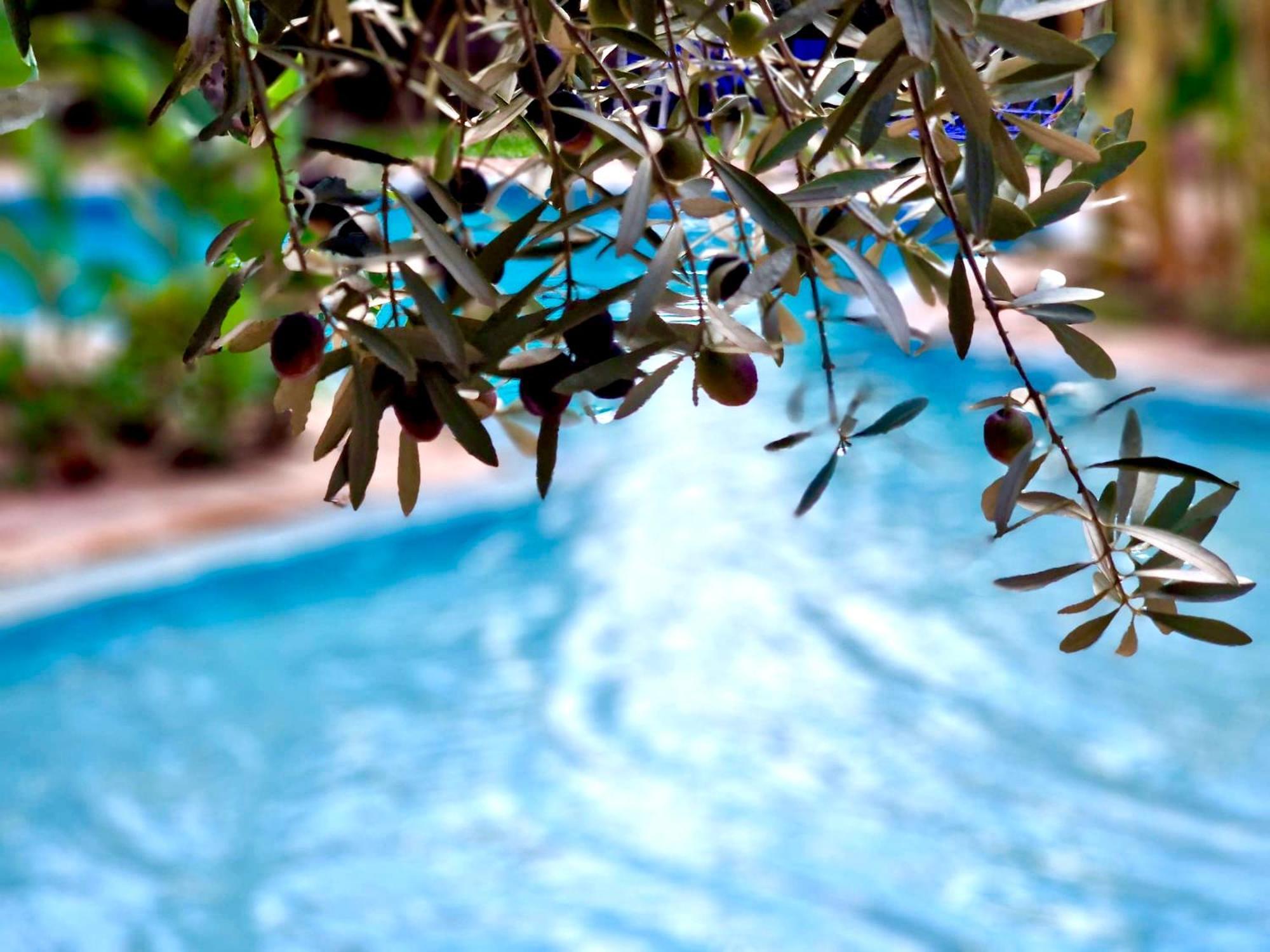 Bed and Breakfast Le Domaine De Carole Marrakech Douar Akkara Zewnętrze zdjęcie