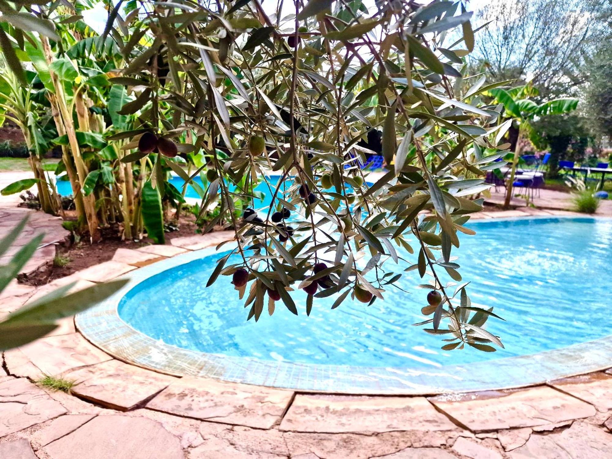 Bed and Breakfast Le Domaine De Carole Marrakech Douar Akkara Zewnętrze zdjęcie